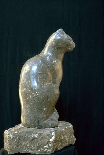 Katze Korallenoolith 1999