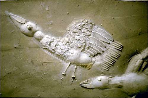 Grundschule Relief 1