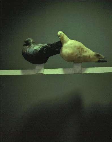 Schueleruebung IGS 1