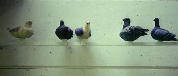 Schueleruebung IGS 2