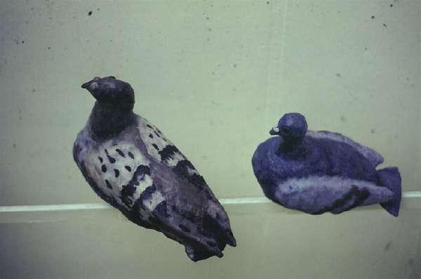 Schueleruebung IGS 3