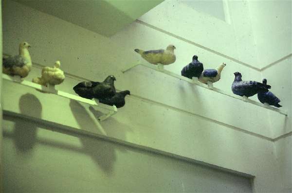 Schueleruebung IGS 4