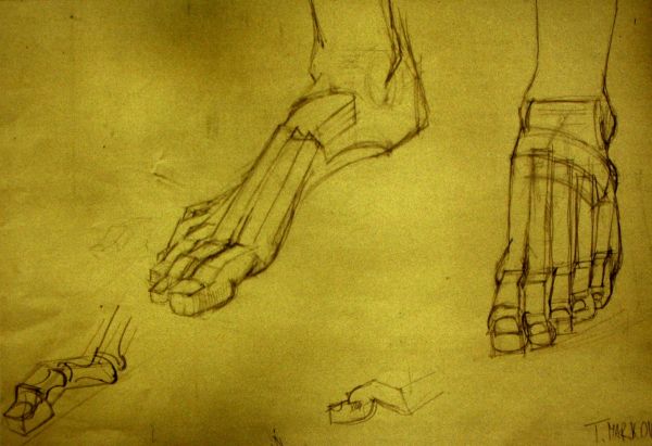 Flaechen und Koerper im Raum 24