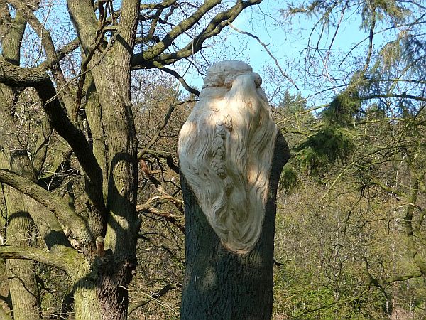 Hopfenfee in Hornburg Willeckes Lust 2017 f