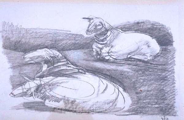 Hesekiel-Schafe Zeichnung 2001 1