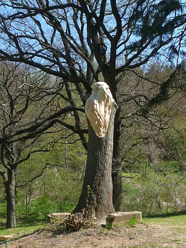 Hopfenfee in Hornburg Willeckes Lust 2017 g