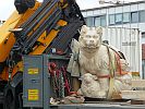 Lucklum Huete Hund 2018 g
