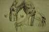 Figuren und Aktzeichnungen 50x70 cm 8