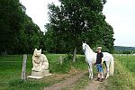 Lucklum  Huete Hund  2018 e